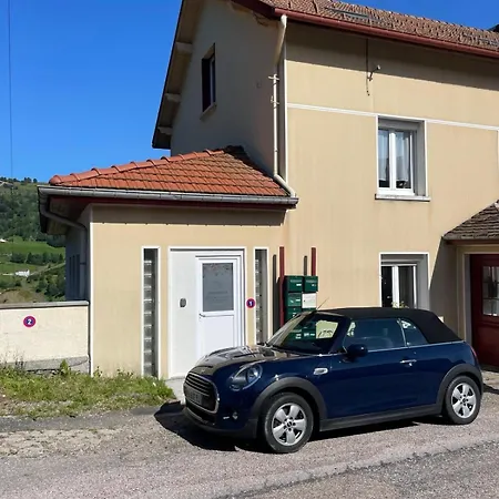 Apartamento Le Petit Bressaud, Cosy Au Coeur Des Vosges *