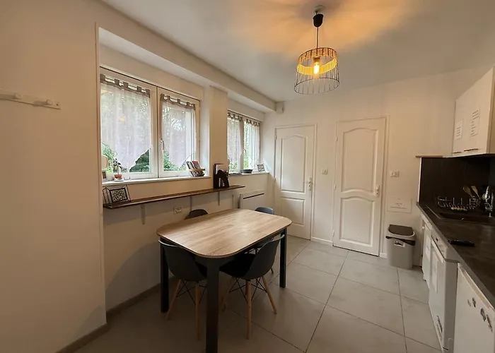 Apartamento Le Petit Bressaud, Cosy Au Coeur Des Vosges